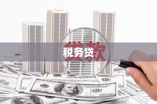 唐县税务贷
