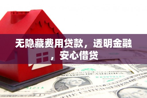 唐县无隐藏费用贷款，透明金融，安心借贷