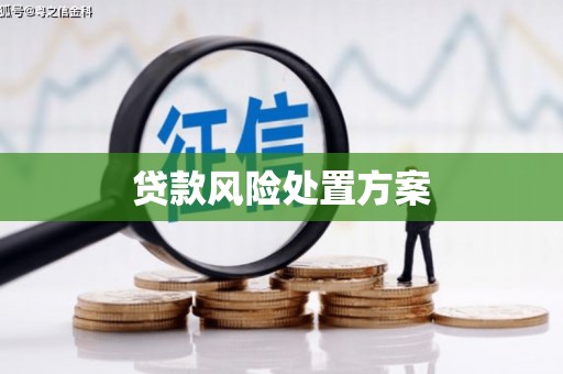 唐县贷款风险处置方案