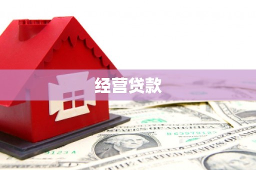唐县经营贷款
