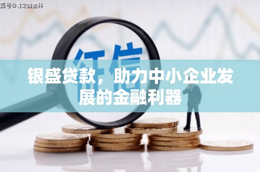 唐县银盛贷款，助力中小企业发展的金融利器