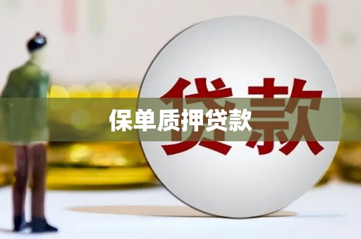 唐县保单质押贷款