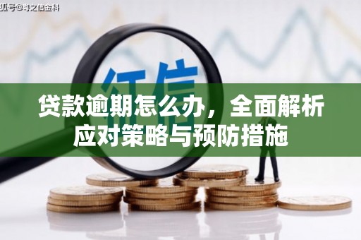 唐县贷款逾期怎么办，全面解析应对策略与预防措施