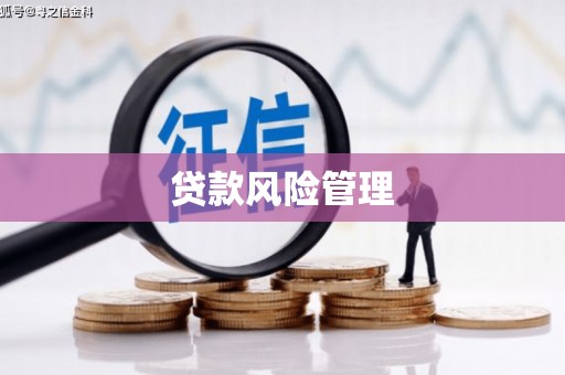 唐县贷款风险管理