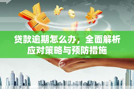 唐县贷款逾期怎么办，全面解析应对策略与预防措施