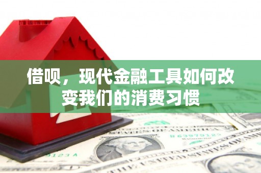 唐县借呗，现代金融工具如何改变我们的消费习惯