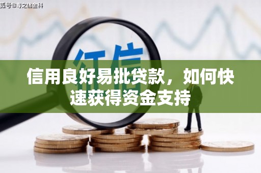 唐县信用良好易批贷款，如何快速获得资金支持