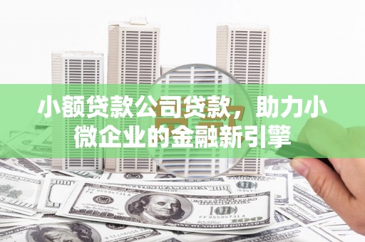 唐县小额贷款公司贷款，助力小微企业的金融新引擎