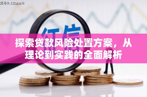 唐县探索贷款风险处置方案，从理论到实践的全面解析
