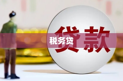 唐县税务贷