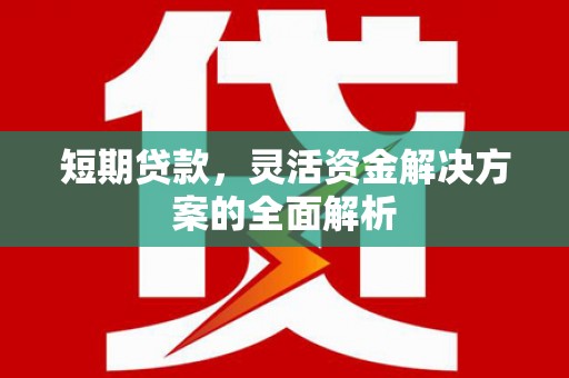 唐县短期贷款，灵活资金解决方案的全面解析