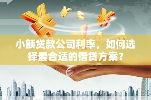 唐县小额贷款公司利率，如何选择最合适的借贷方案？