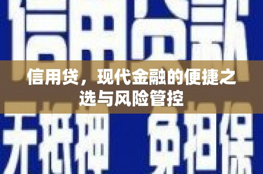 唐县信用贷，现代金融的便捷之选与风险管控