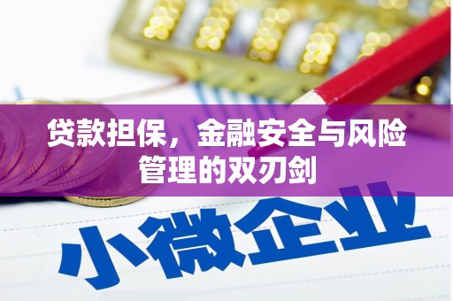唐县贷款担保，金融安全与风险管理的双刃剑