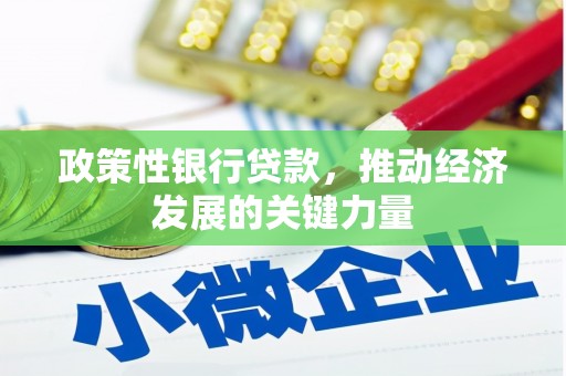 唐县政策性银行贷款，推动经济发展的关键力量