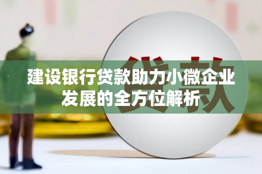唐县建设银行贷款助力小微企业发展的全方位解析