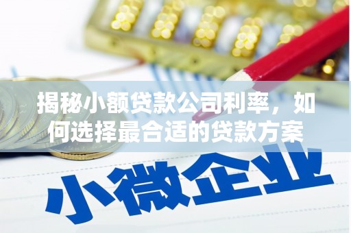 唐县揭秘小额贷款公司利率，如何选择最合适的贷款方案