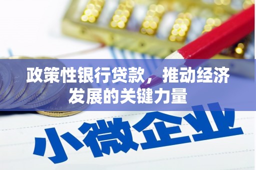 唐县政策性银行贷款，推动经济发展的关键力量
