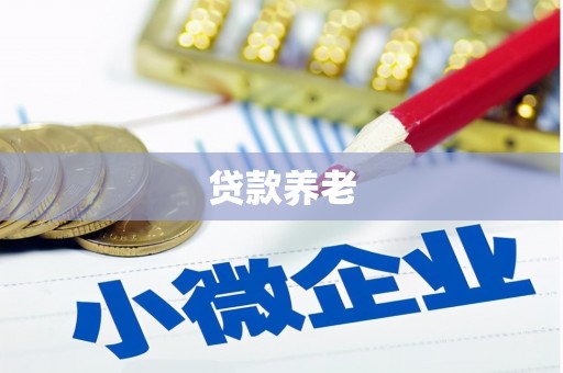 唐县贷款养老