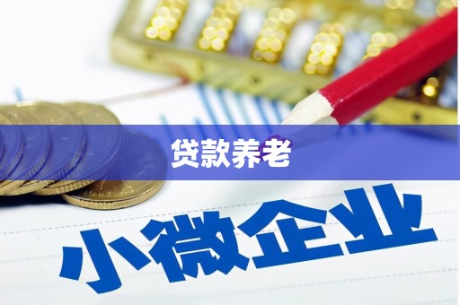 唐县贷款养老