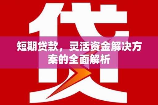 唐县短期贷款，灵活资金解决方案的全面解析
