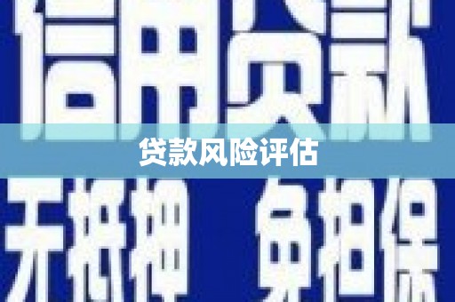 唐县贷款风险评估
