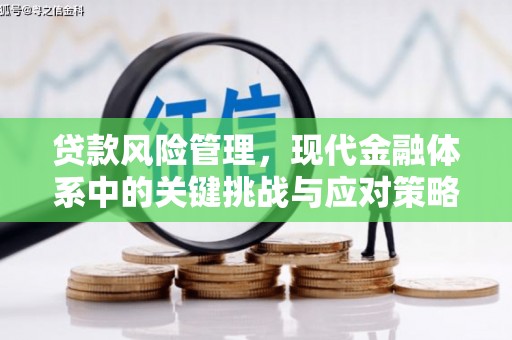 唐县贷款风险管理，现代金融体系中的关键挑战与应对策略