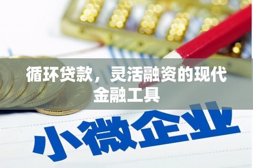唐县循环贷款，灵活融资的现代金融工具