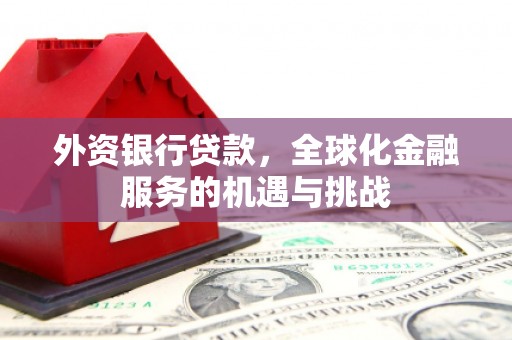 唐县外资银行贷款，全球化金融服务的机遇与挑战