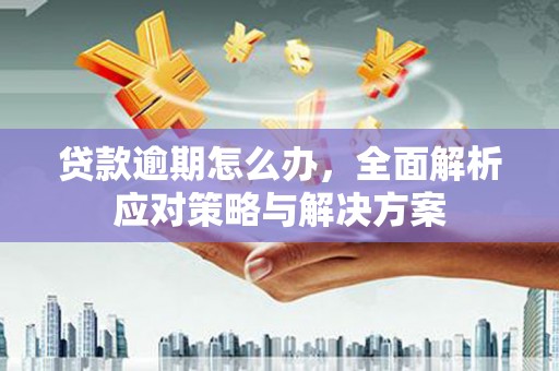 唐县贷款逾期怎么办，全面解析应对策略与解决方案