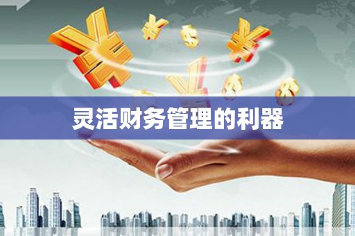 唐县灵活财务管理的利器