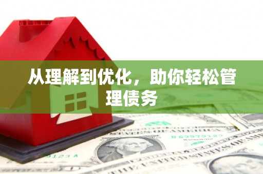 唐县从理解到优化，助你轻松管理债务