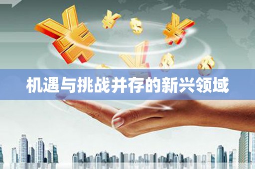 唐县机遇与挑战并存的新兴领域