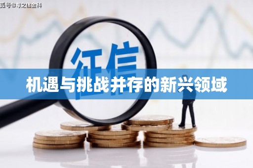 唐县机遇与挑战并存的新兴领域