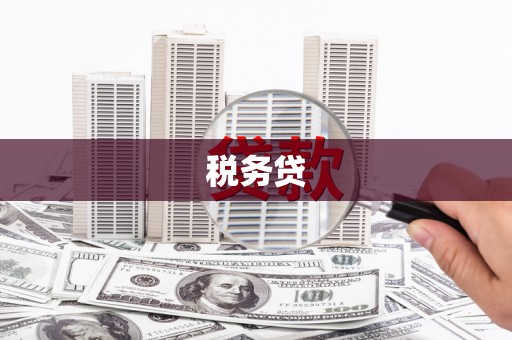 唐县税务贷