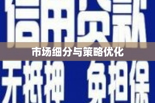 唐县市场细分与策略优化
