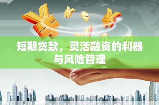 唐县短期贷款，灵活融资的利器与风险管理