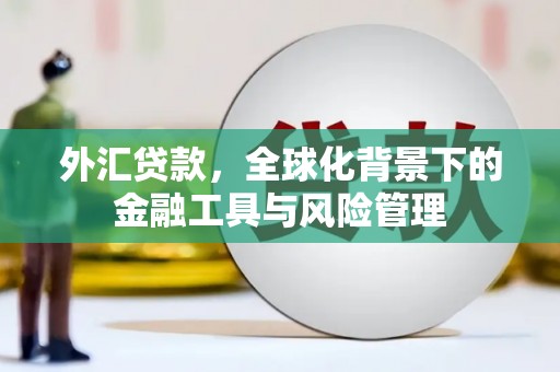 唐县外汇贷款，全球化背景下的金融工具与风险管理