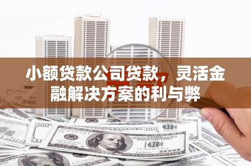 唐县小额贷款公司贷款，灵活金融解决方案的利与弊